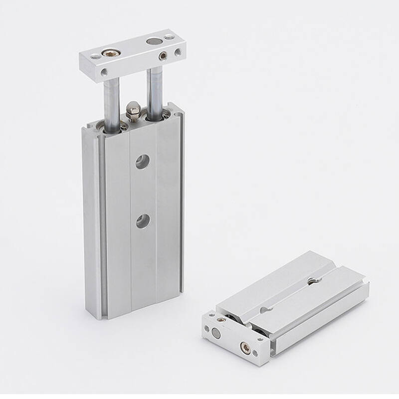 CXSJM Series Compact Twin Rod Cylinder