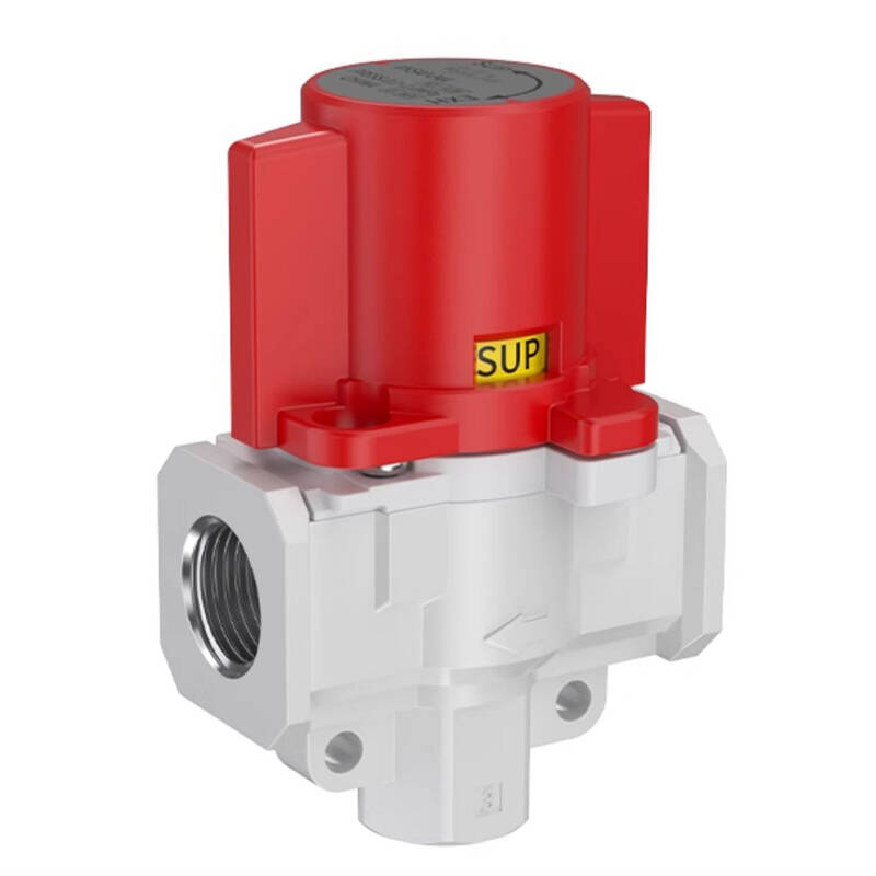 VHS Series Residual Pressure Release Valve